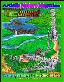 Animal Homes Cover