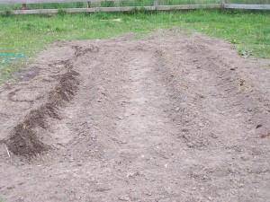 Planting Growing Field May 2010 002