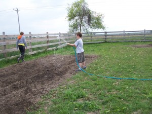 Planting Growing Field May 2010 009