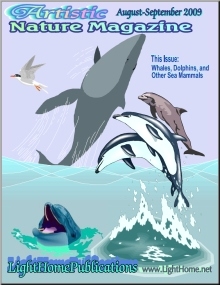 Sea Mammals Cover