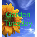 GardenTuesdaysButton