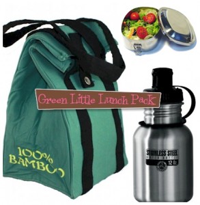 Rayon and bamboo lunch bag kit