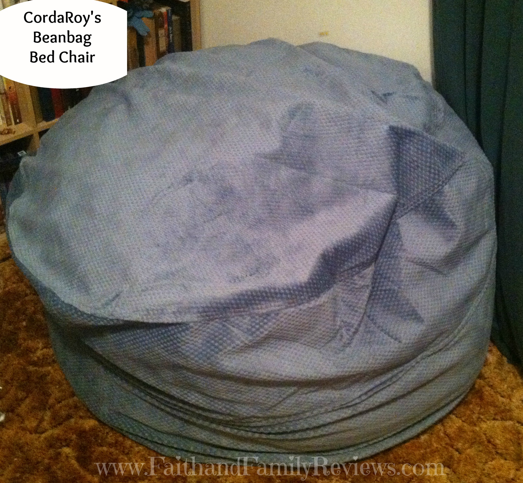 CordaRoy's Beanbag Bed Chair_