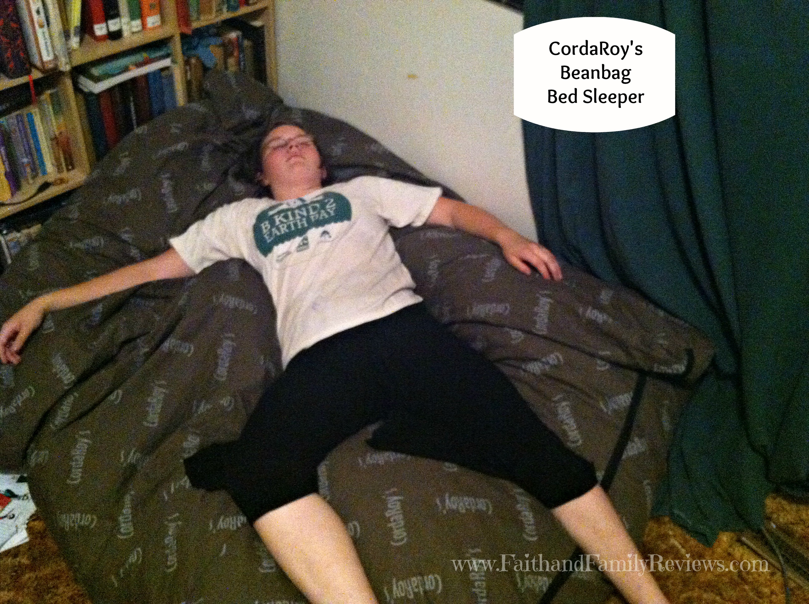 CordaRoy's Beanbag Bed Sleeper_